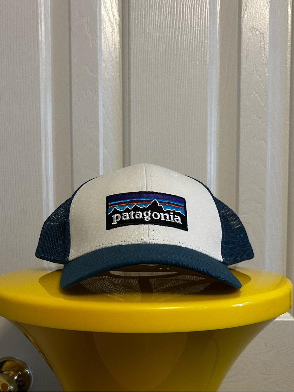 Blue & White Patagonia Hat